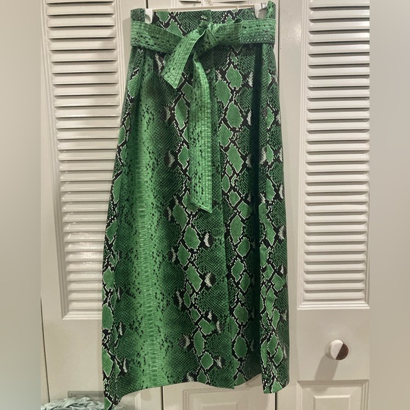 Zara Dresses & Skirts - BEAUTIFUL ZARA GREEN VEGAN LEATHER SNAKE PRINT BUTTON DOWN A-LINE SKIRT LG NWT